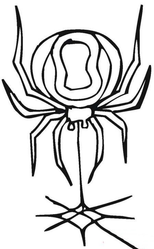 Simple drawing of spider spinning silk