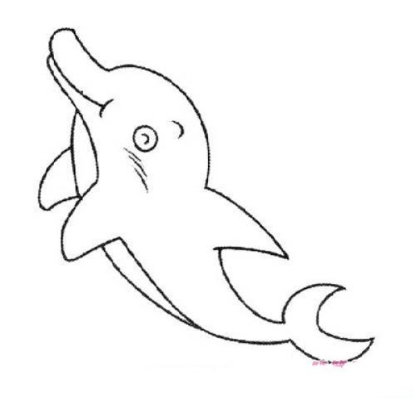 Childrens simple drawing pictures of dolphins