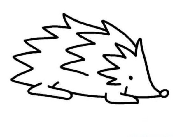 Childrens simple drawing pictures of hedgehogs