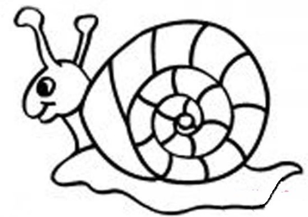 Primary school students' simple drawing pictures of snails