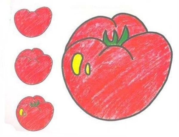 Simple drawing and coloring of tomatoes for children