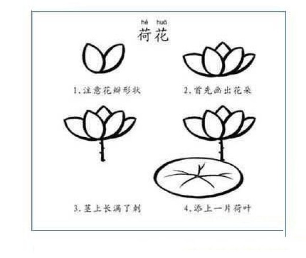 Lotus simple strokes drawing tutorial