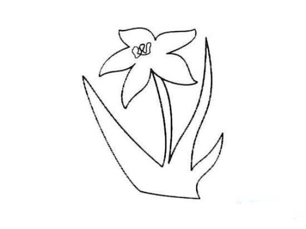 Childrens simple drawing pictures of orchids