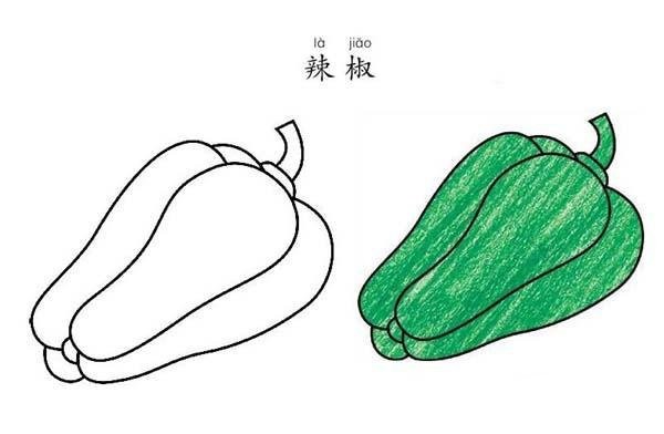 Coloring green pepper simple drawing picture