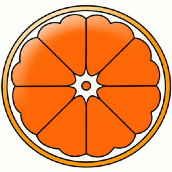 Cut orange simple drawing coloring