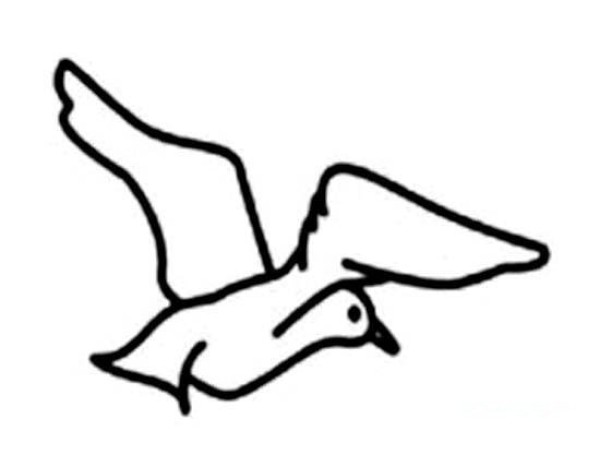 Simple drawing picture of seagull flying in the sky