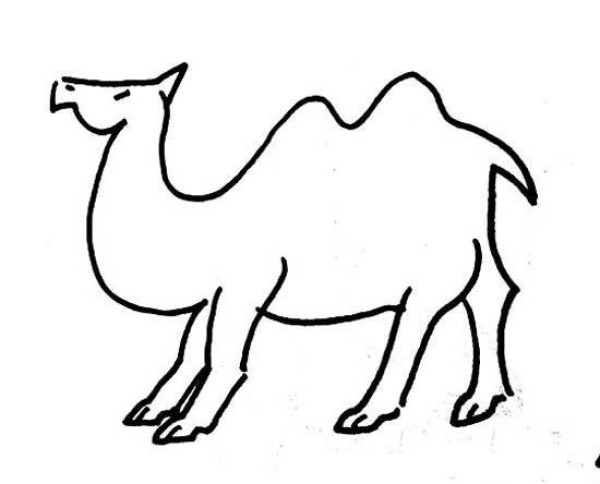 Kindergarten camel simple strokes picture