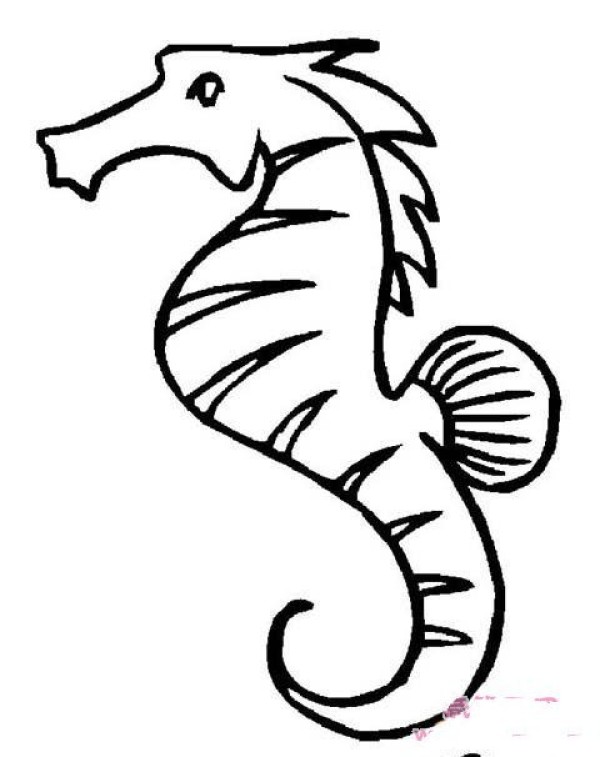 Childrens simple drawing pictures of seahorses