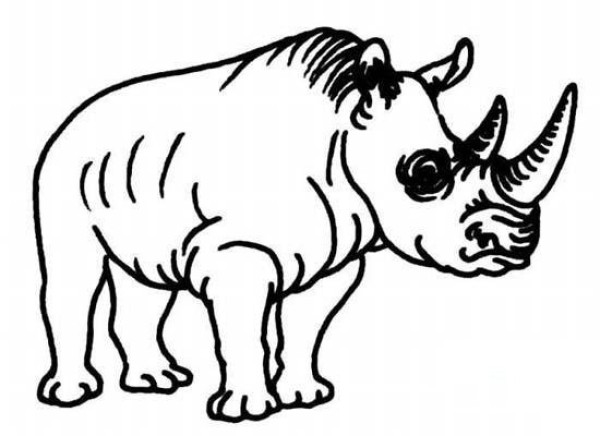 A complete collection of simple drawing pictures of strong black rhinoceros