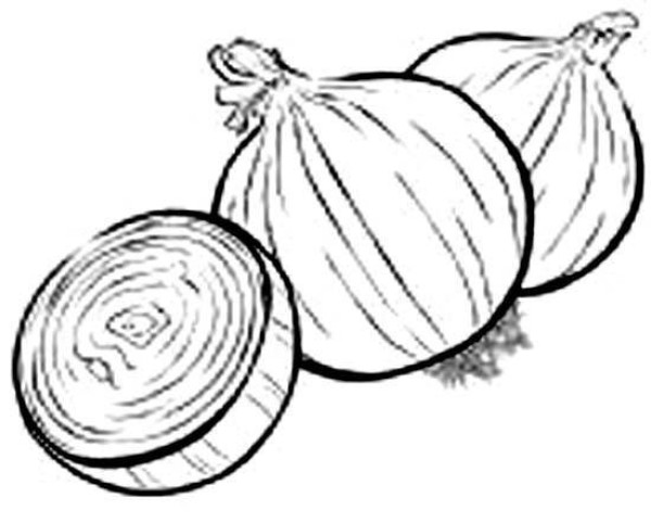 Primary school students' hand-drawn simple drawings of onions