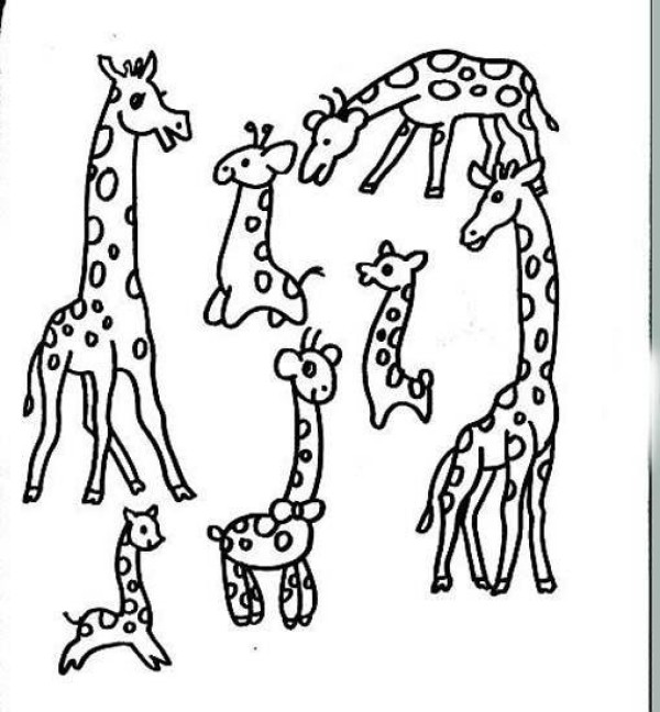 A complete collection of simple strokes of various giraffes