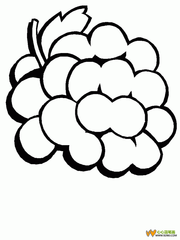 Simple drawing of a bunch of grapes