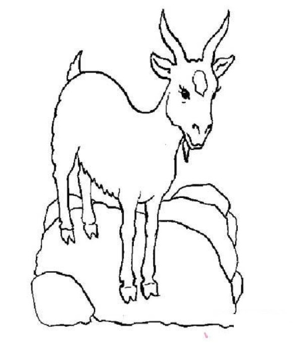 Goat simple strokes picture