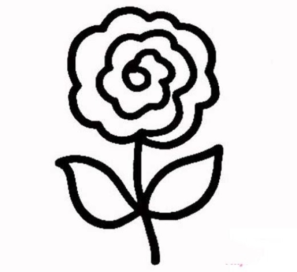 Simple peony flower drawing pictures for kindergarten class