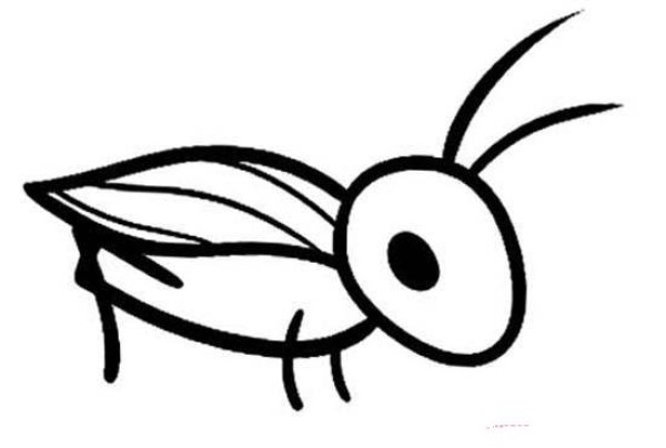 Childrens simple drawing pictures of cute little crickets