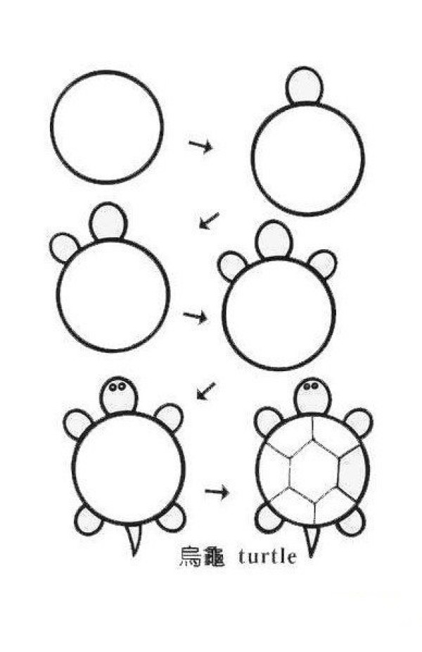 Turtle simple drawing tutorial