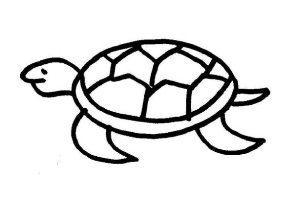 Cartoon little turtle simple strokes