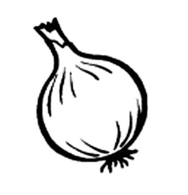 Onion simple strokes picture