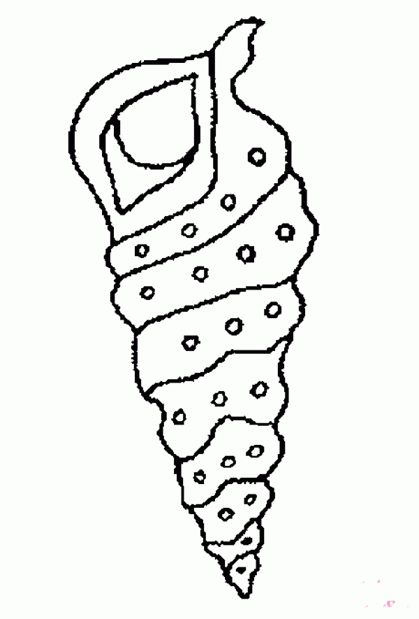 Simple drawing picture of long and pointed conch