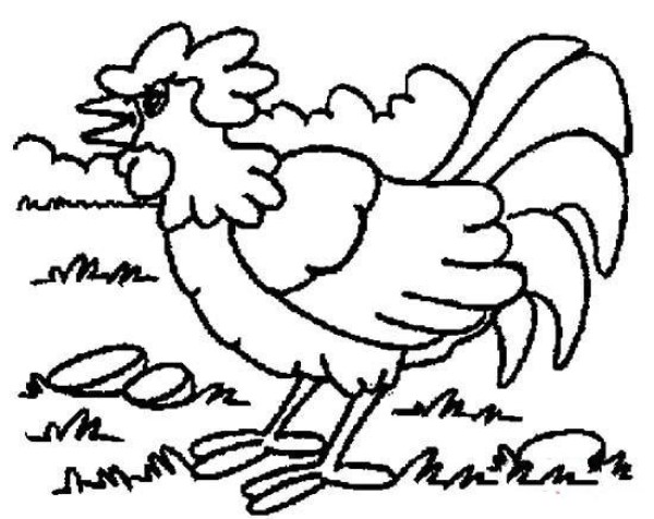 Simple animal drawing: crowing rooster