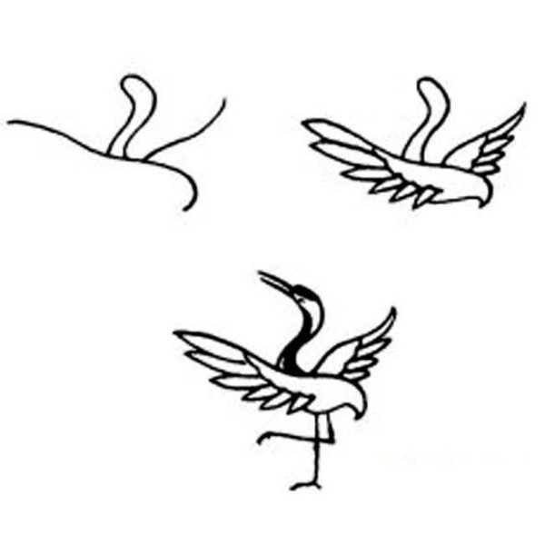 Steps to draw red-crowned crane in simple strokes