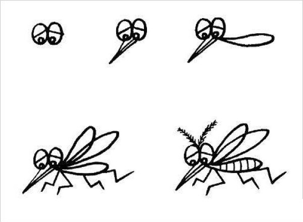 How to draw a mosquito