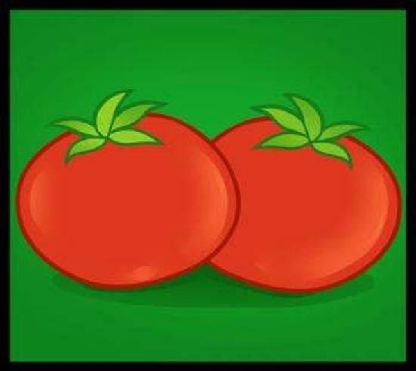 Colorful tomato simple drawing picture