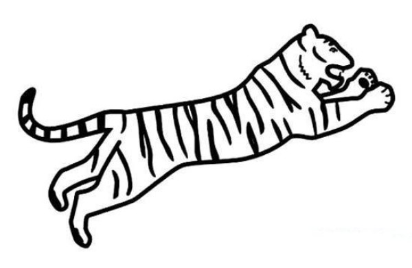 Simple picture of tiger drawn by primary school students: tiger pouncing on food