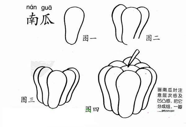 Steps to draw a simple pumpkin: How to draw a pumpkin