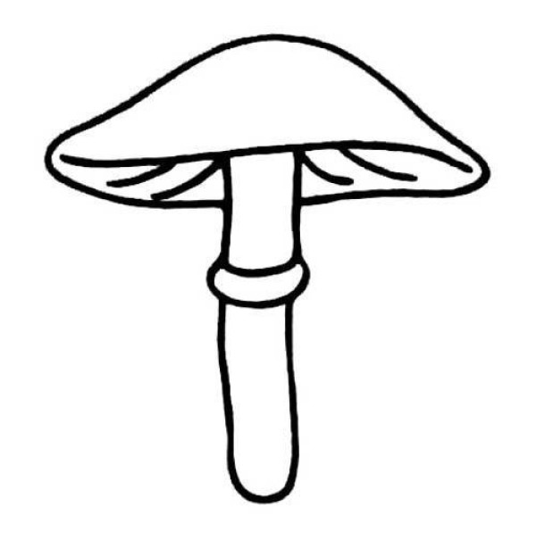 Beautiful umbrella-shaped mushroom simple drawing picture