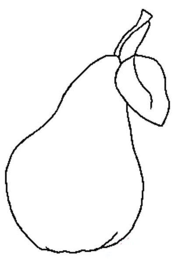 Primary school students' simple drawing pictures of pear