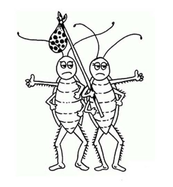 Cartoon cockroach simple strokes picture collection