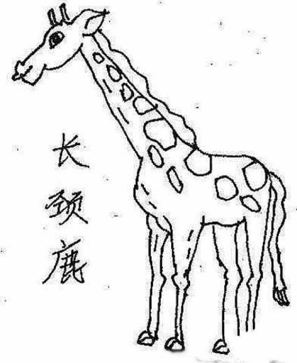 Animal simple drawing: giraffe