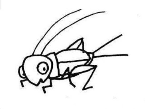 Childrens simple drawing pictures of crickets