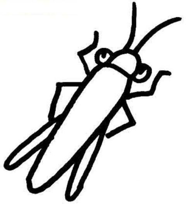 Kindergarten cricket simple drawing picture