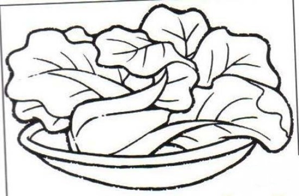 Childrens simple drawing: Chinese cabbage on the plate