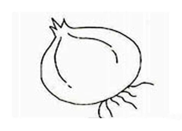 Childrens simple onion drawing pictures