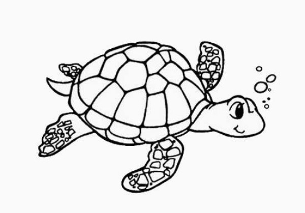 Simple drawing of marine life: turtle