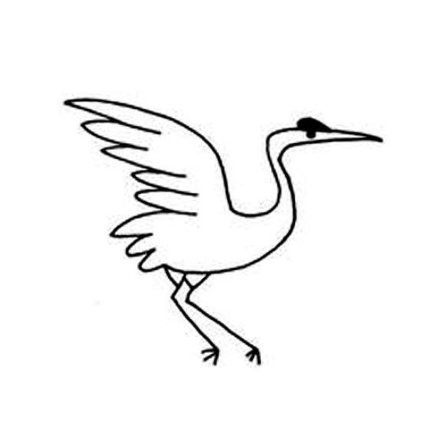 Simple drawing picture of elegant red-crowned crane