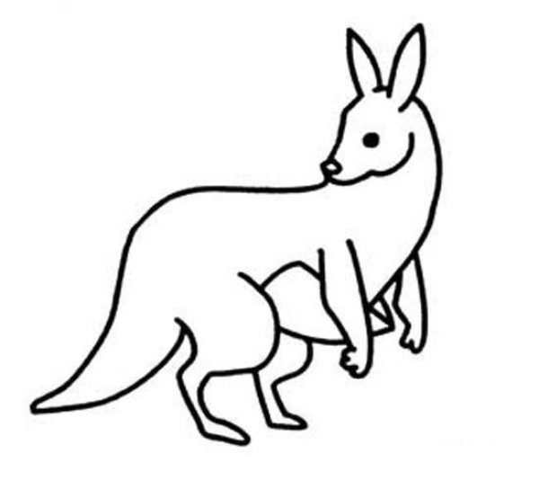 Childrens simple drawing picture of a single kangaroo