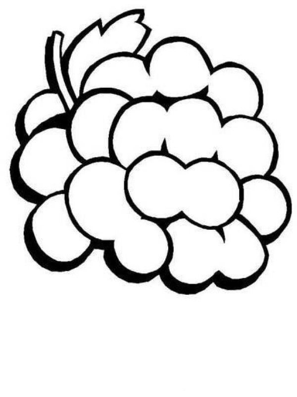 Childrens simple drawing: grapes