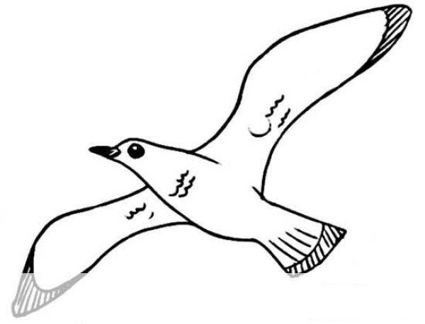 Simple drawing picture of seagull flying in the sky