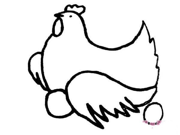 Simple drawing of hen laying eggs