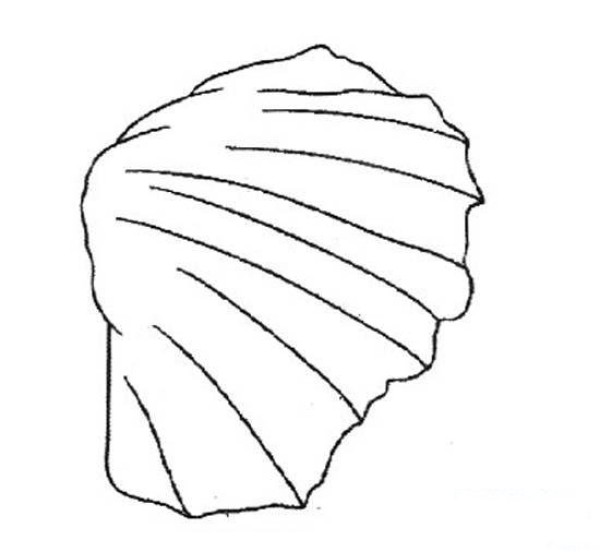 Simple strokes of seashell pictures