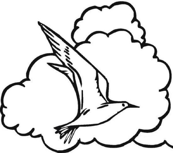 Childrens simple drawing pictures of seagulls in the clouds