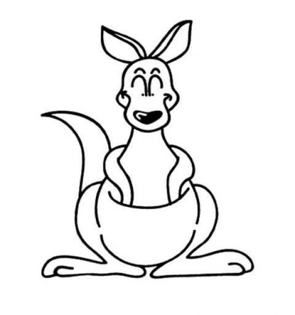 Childrens kangaroo front simple drawing picture