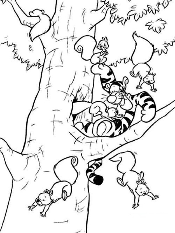 Simple drawing picture of squirrels home on the tree