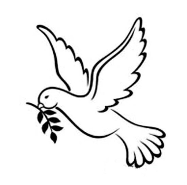 A complete picture collection of simple strokes of peace doves in Tiananmen Square