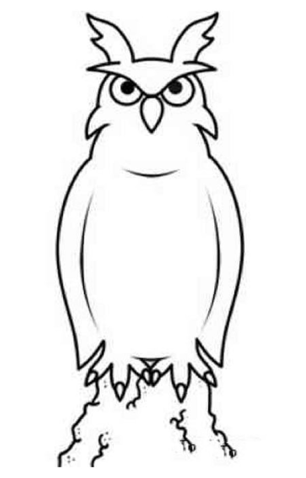 Owl front simple drawing picture