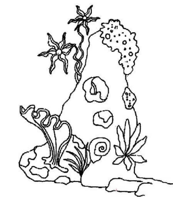 Coral reef simple drawing pictures